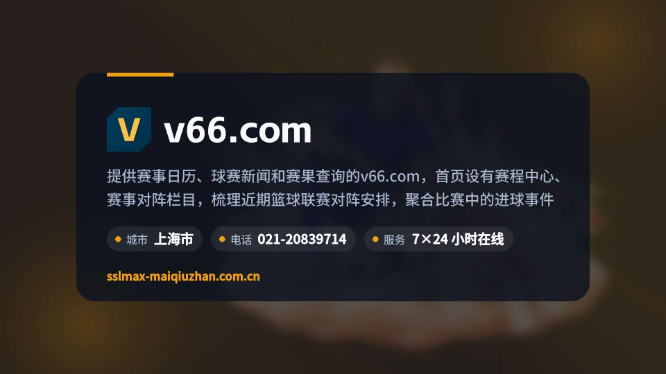v66.com介绍